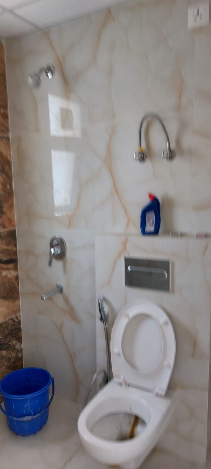 2 BHK + Pooja Room Apartment For Rent in Rishita Mulberry Heights