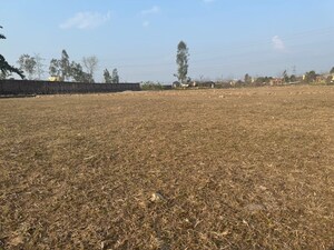  Plot For Sale in Sherpur