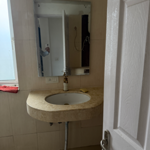 Bathroom in 2 BHK Apartment at Jaypee Greens Pavilion Court, Sector 128 – for Sale