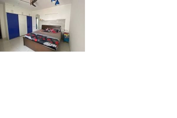 3 BHK + Pooja Room 1482 Sq.Ft. Apartment in Purva Palm Beach