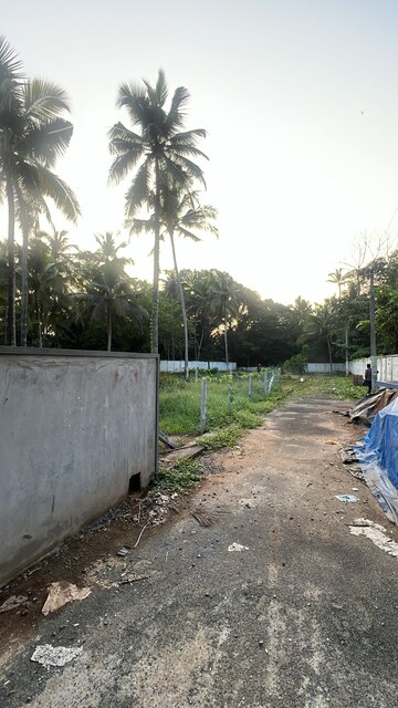 Plot Area in  Plot at Kuttoor – for Sale