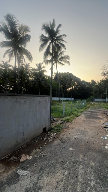 Plot Area in  Plot at Kuttoor – for Sale