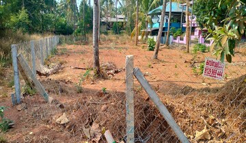 Plot Area in  Land at Kuttoor – for Sale
