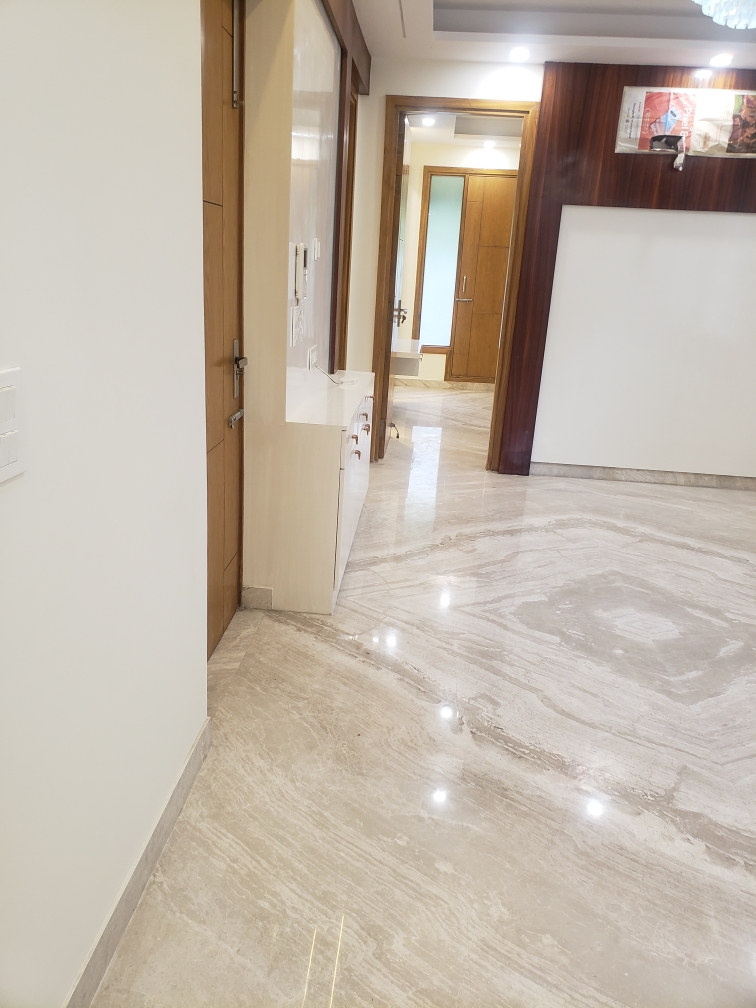 1 BHK Builder Floor For Rent in Rahul Mishra 