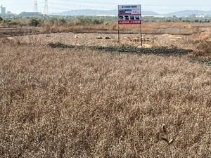 Plot Area in  Plot at Vashi – for Sale