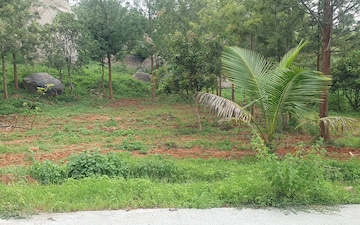 Plot For Sale in Hessarghatta Road