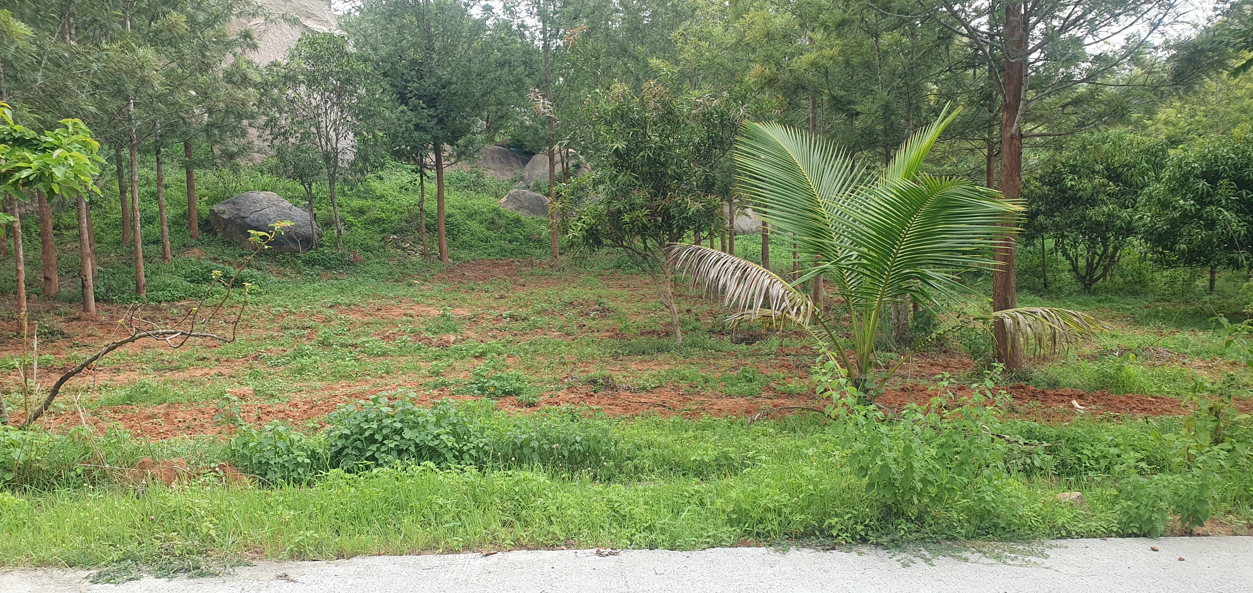 Plot For Sale in Hessarghatta Road