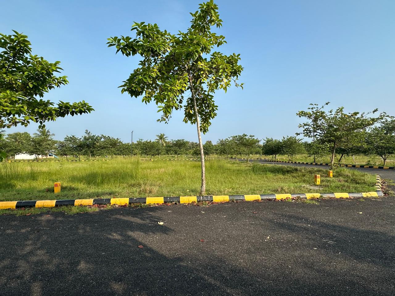 Plot For Sale in Bhogapuram