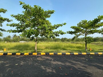 Plot Area in  Plot at Bhogapuram – for Sale