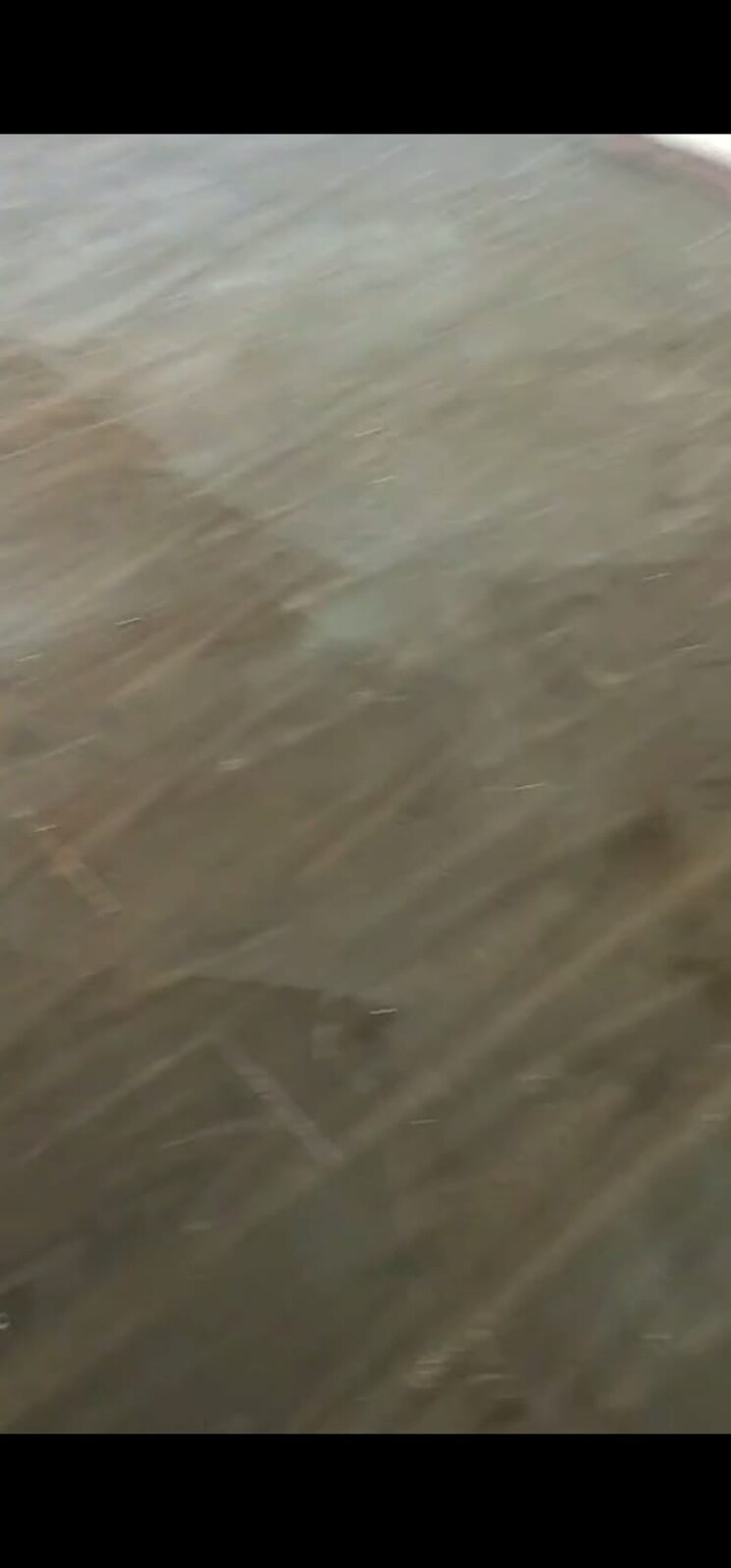 Room, bptp-park-elite-premium 3 Bedroom 906 Sq.Ft. Apartment In Sector 84 Faridabad 8874726