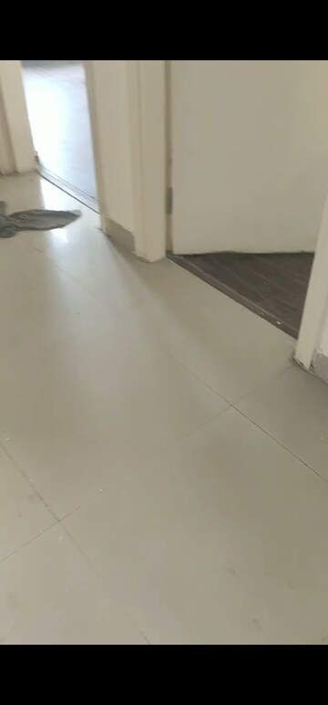 Room in 3 BHK Apartment at BPTP Park Elite Premium, Sector 84 – for Rent