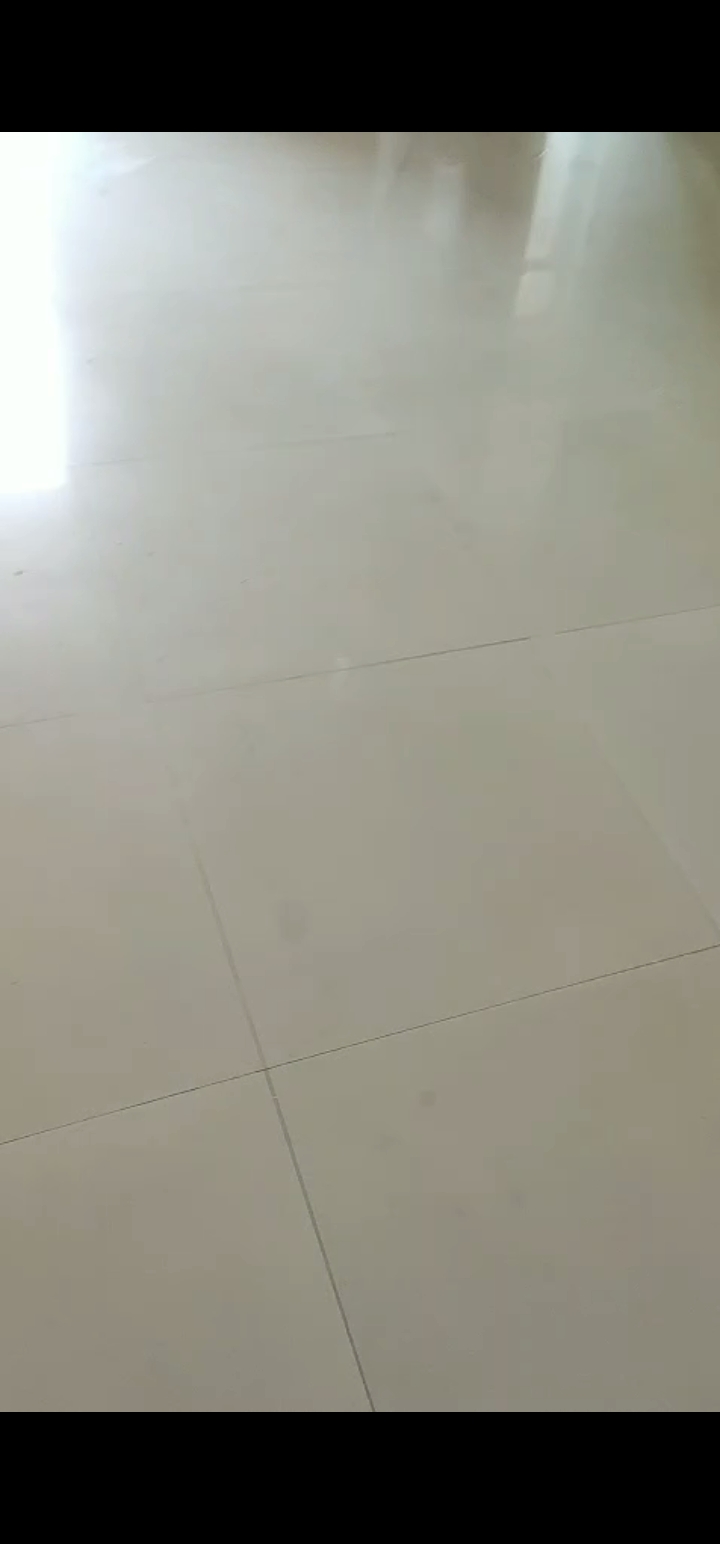 3 BHK + Pooja Room Apartment For Rent in BPTP Park Elite Premium