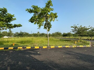 Plot Area in  Plot at Bhogapuram – for Sale