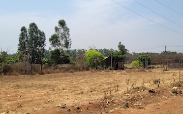 Industrial Plot For Sale in Kakati