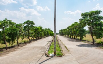 Plot For Sale in Ab Bypass Road
