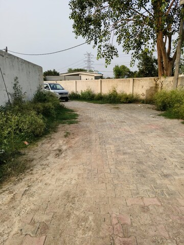  Plot – Nearby View at Noida Central - for Sale