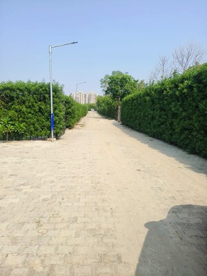  Plot – Exterior View View at Noida Central - for Sale