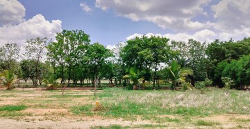  Plot For Sale in Kothur