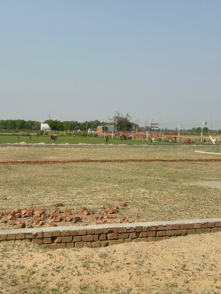 undefined, jewar  209 Sq.Yd. Plot In Jewar Greater Noida 8769727