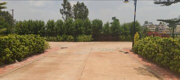 Plot Area in  Plot at Whitefield – for Sale