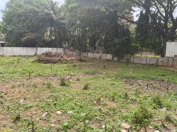 Plot Area in  Land at Chamrajpet – for Sale