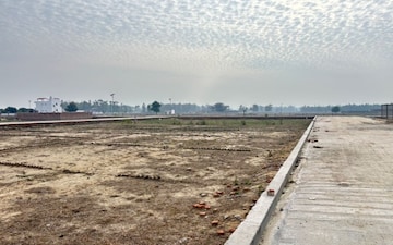 Plot For Sale in Janauli