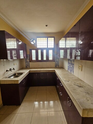 Kitchen in 2 BHK Builder Floor at Sector 9 – for Rent