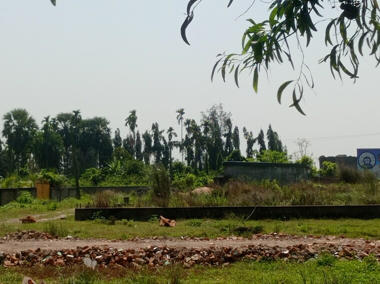 undefined, southern-park  2161 Sq.Ft. Plot In Baruipur Kolkata 8876650