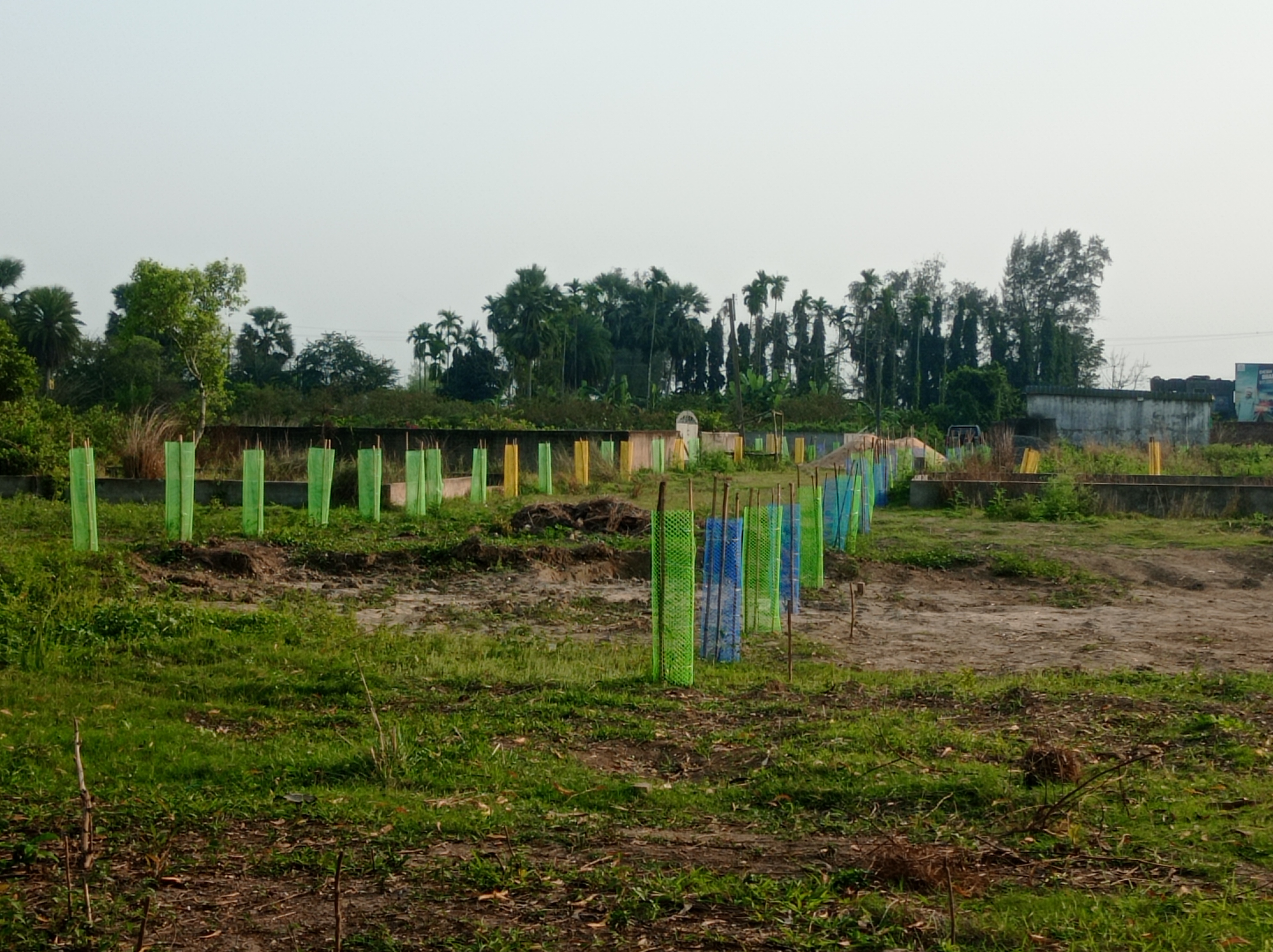 Plot For Sale in Southern Park