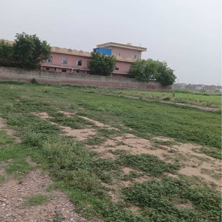 undefined, sector 56  66 Sq.Yd. Plot In Sector 56 Faridabad 8876912