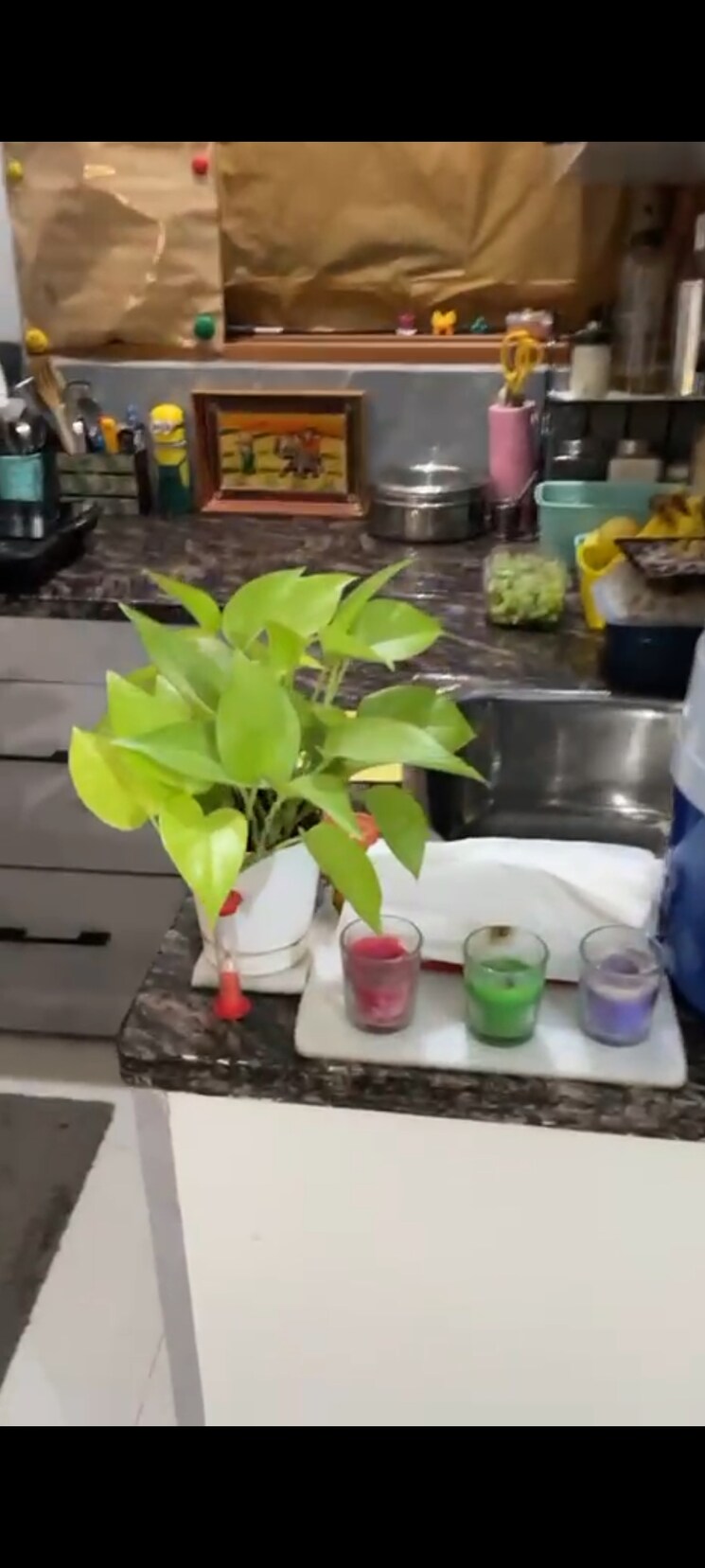 Master Bedroom, sushant lok i 1 RK 200 Sq.Ft. Builder Floor In Sushant Lok I Gurgaon 8876904