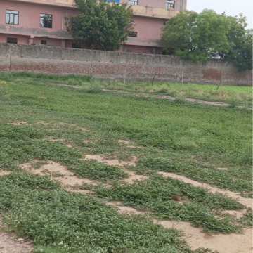 Plot Area in  Plot at Sector 56 – for Sale