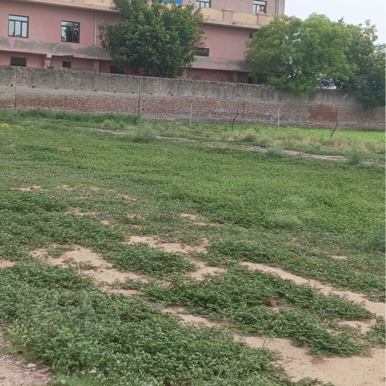undefined, sector 56  69 Sq.Yd. Plot In Sector 56 Faridabad 8877162