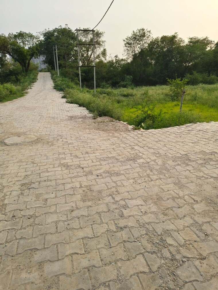 undefined, chi iv greater noida  300 Sq.Yd. Plot In Chi Iv Greater Noida Greater Noida 8877316