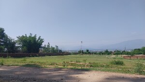  Plot For Sale in Badowala