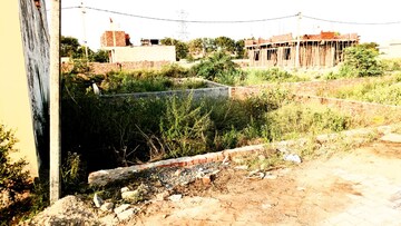 Plot Area in  Plot at Sector 141 – for Sale