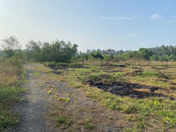  Plot For Sale in Alibag