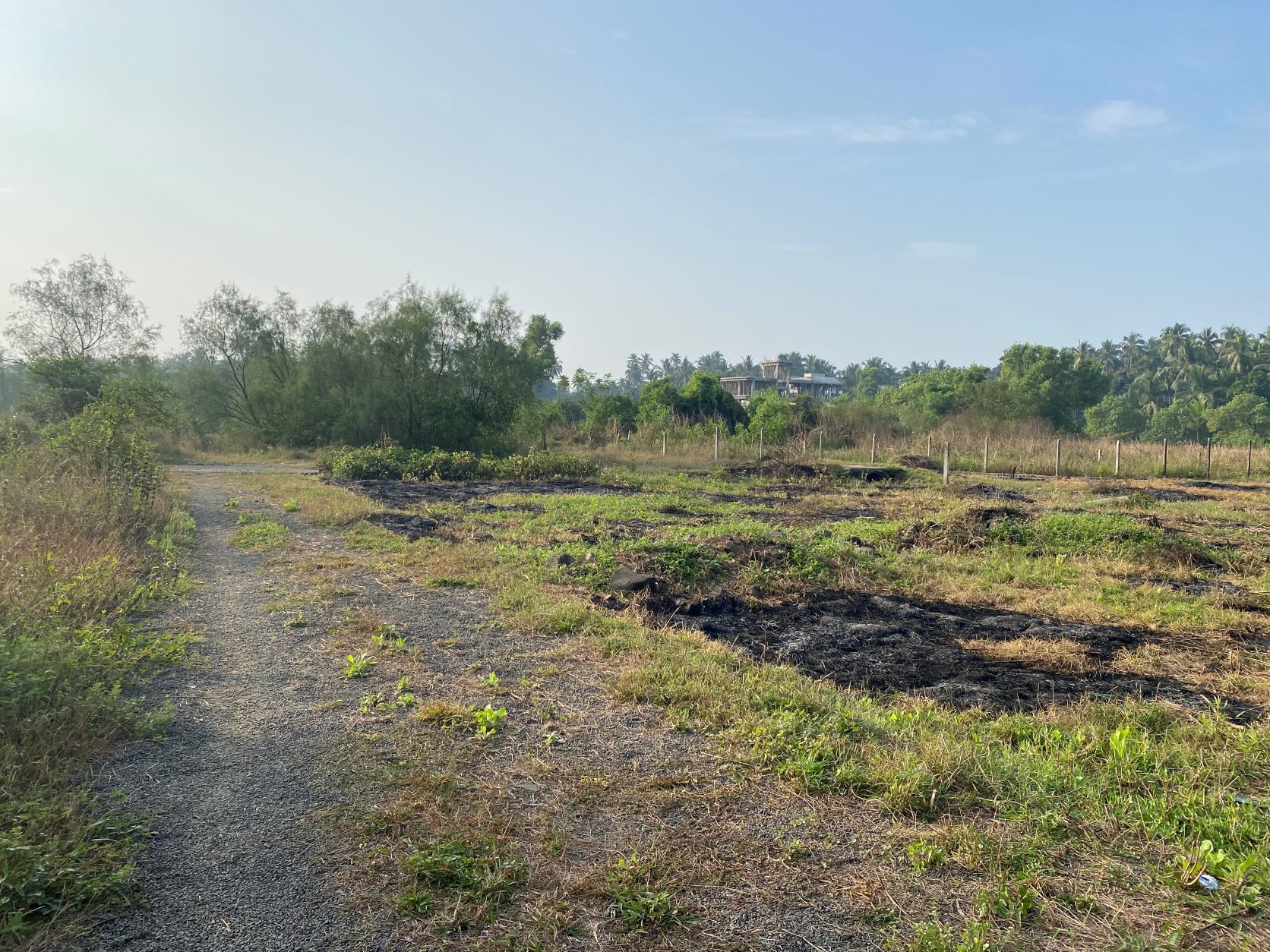 Plot For Sale in Alibag