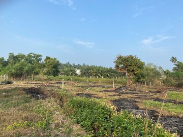 Plot Area in  Plot at Alibag – for Sale