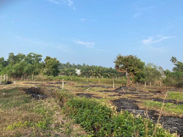 undefined, alibag  11000 Sq.Ft. Plot In Alibag Raigad 8877696