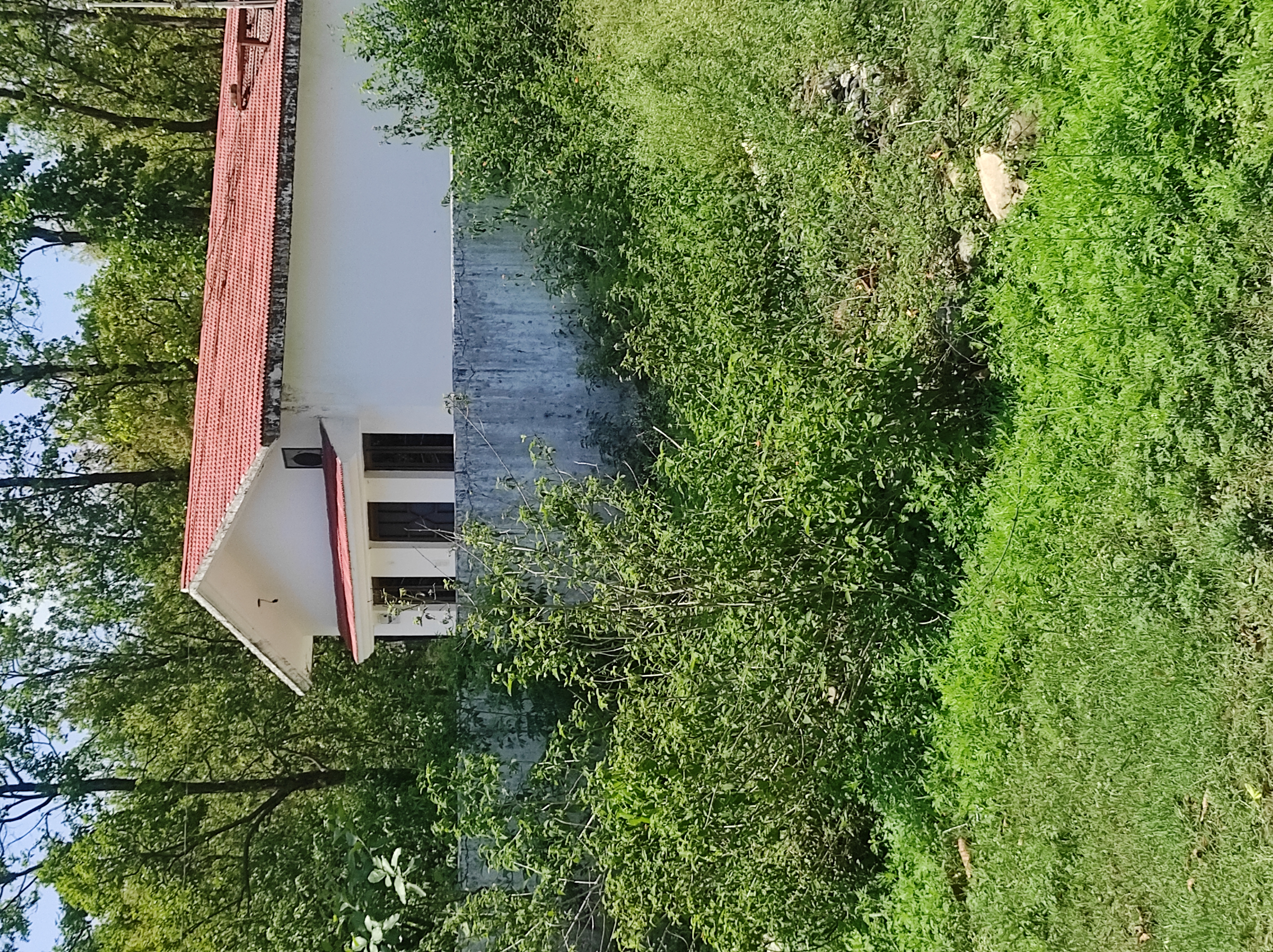 Plot For Sale in Dhaulas