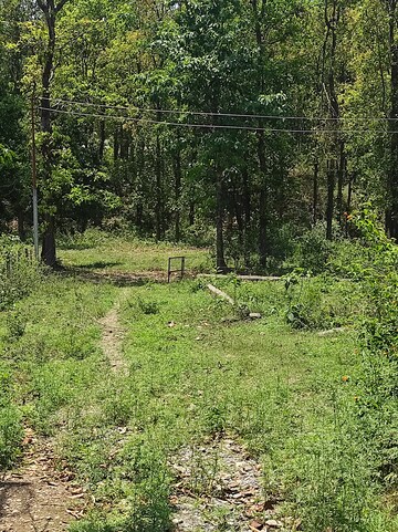  Plot – Garden View at Dhaulas - for Sale
