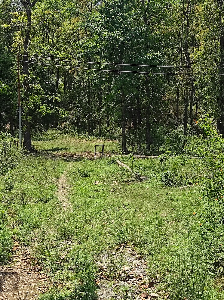 Garden, dhaulas  1160 Sq.Ft. Plot In Dhaulas Dehradun 8877881