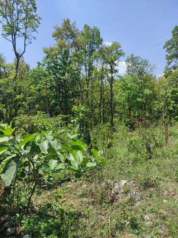  Plot – Garden View at Dhaulas - for Sale