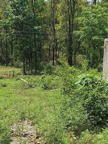  Plot – Exterior View View at Dhaulas - for Sale