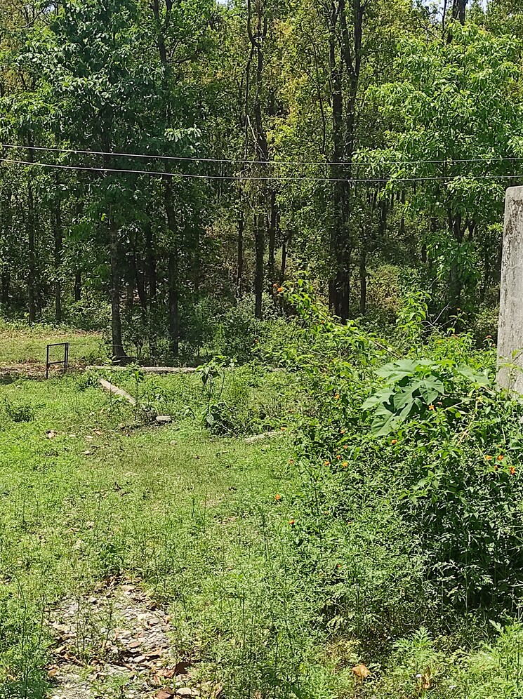 Exterior View, dhaulas  1160 Sq.Ft. Plot In Dhaulas Dehradun 8877881