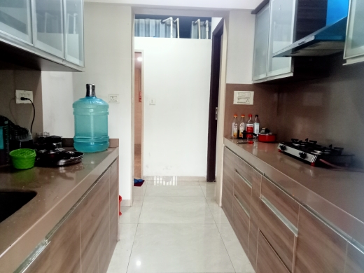 1 BHK Apartment For Rent in Salasar Woods