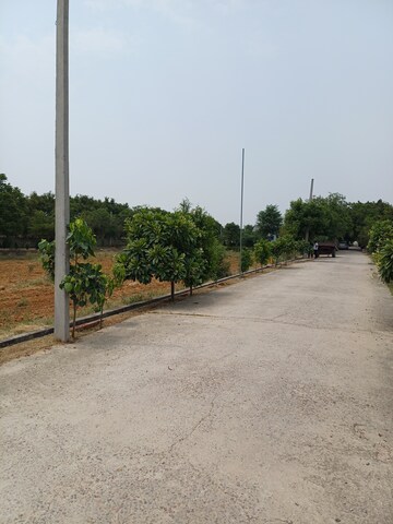  Plot – Exterior View View at Jewar - for Sale
