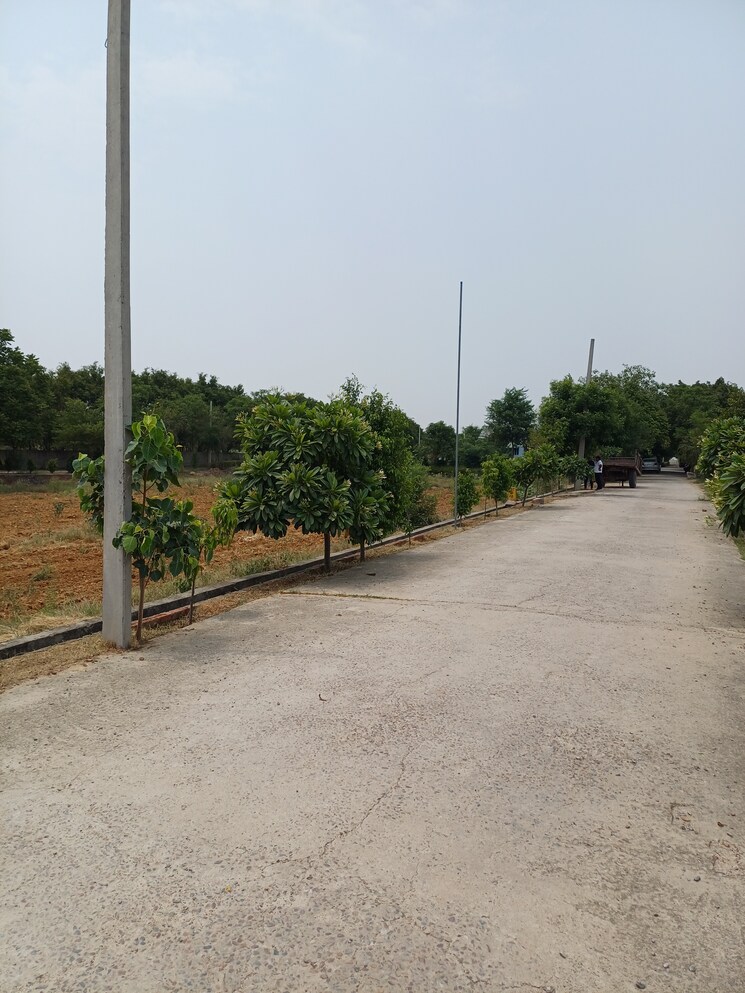 Exterior View, jewar  240 Sq.Yd. Plot In Jewar Greater Noida 8878134