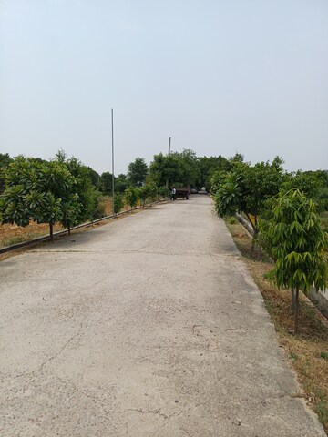  Plot – Exterior View View at Jewar - for Sale
